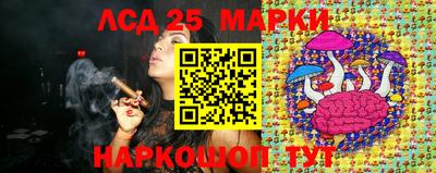 шишки Можга