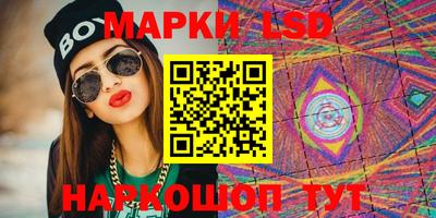 шишки Можга