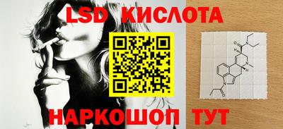 шишки Можга