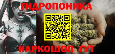 шишки Можга