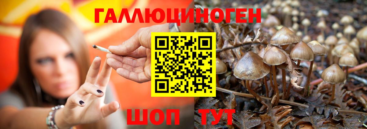Псилоцибиновые грибы мухоморы  Вход с VPN  где купить   Долгопрудный  Псилоцибиновые грибы мицелий 